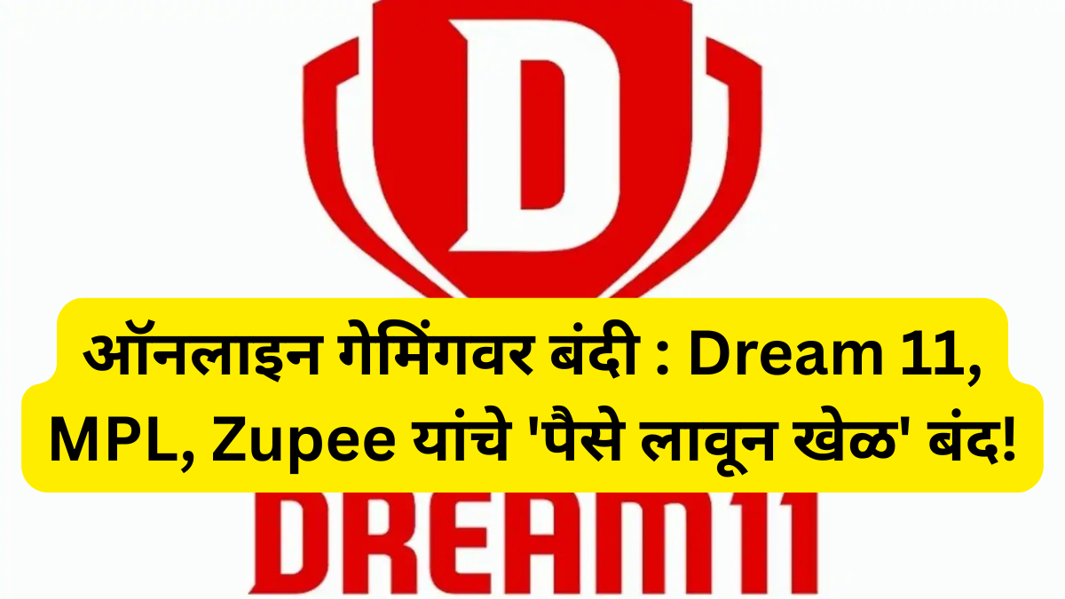 DREAM 11
