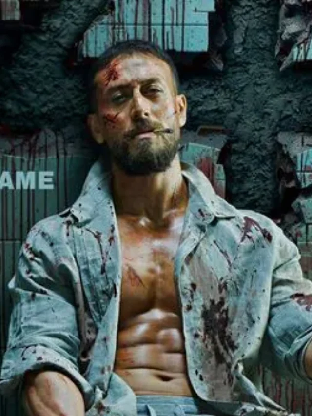 Baaghi 4: Beyond the Crash – Suggests mystery and transformation